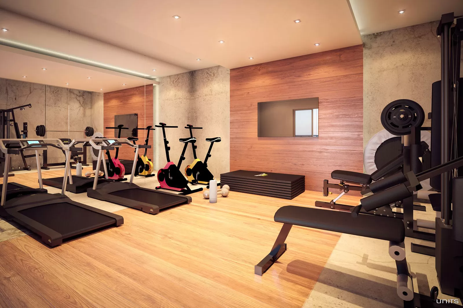 fitness