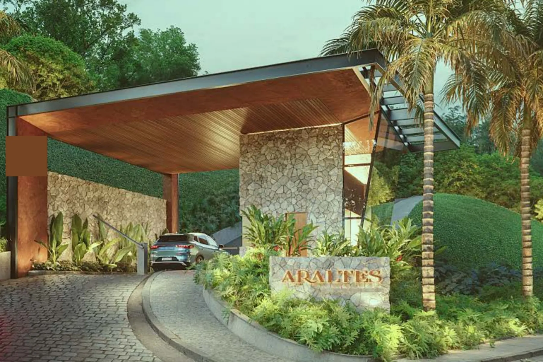 img-Araltes Sebollas-apreal (17)