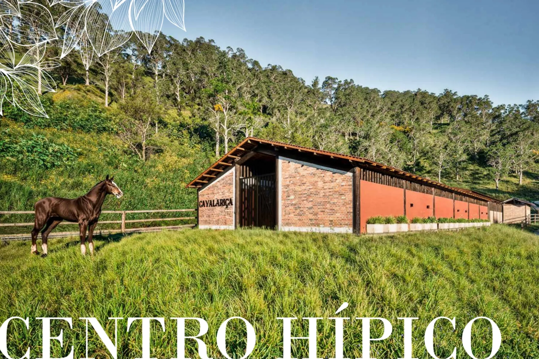 img-Farm Ville Sebollas-apreal (11)