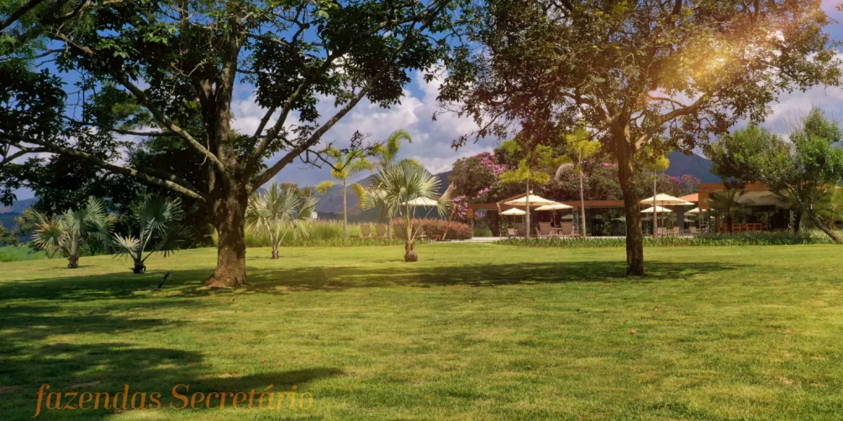 img-Fazenda Secretário-apreal-B (9)